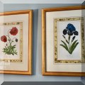 A39. Framed botanicals. 